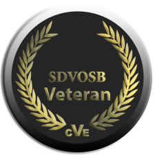 Best Disabled Veteran Owned Roofing Contractor Company in Tampa