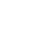 White SDVOSB
