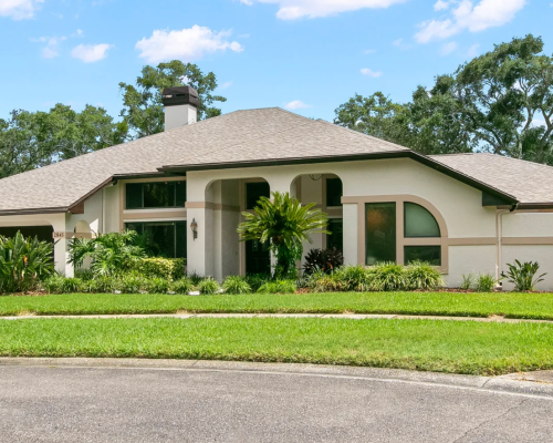 Roof Storm Damage Claim Tampa architectural shingles